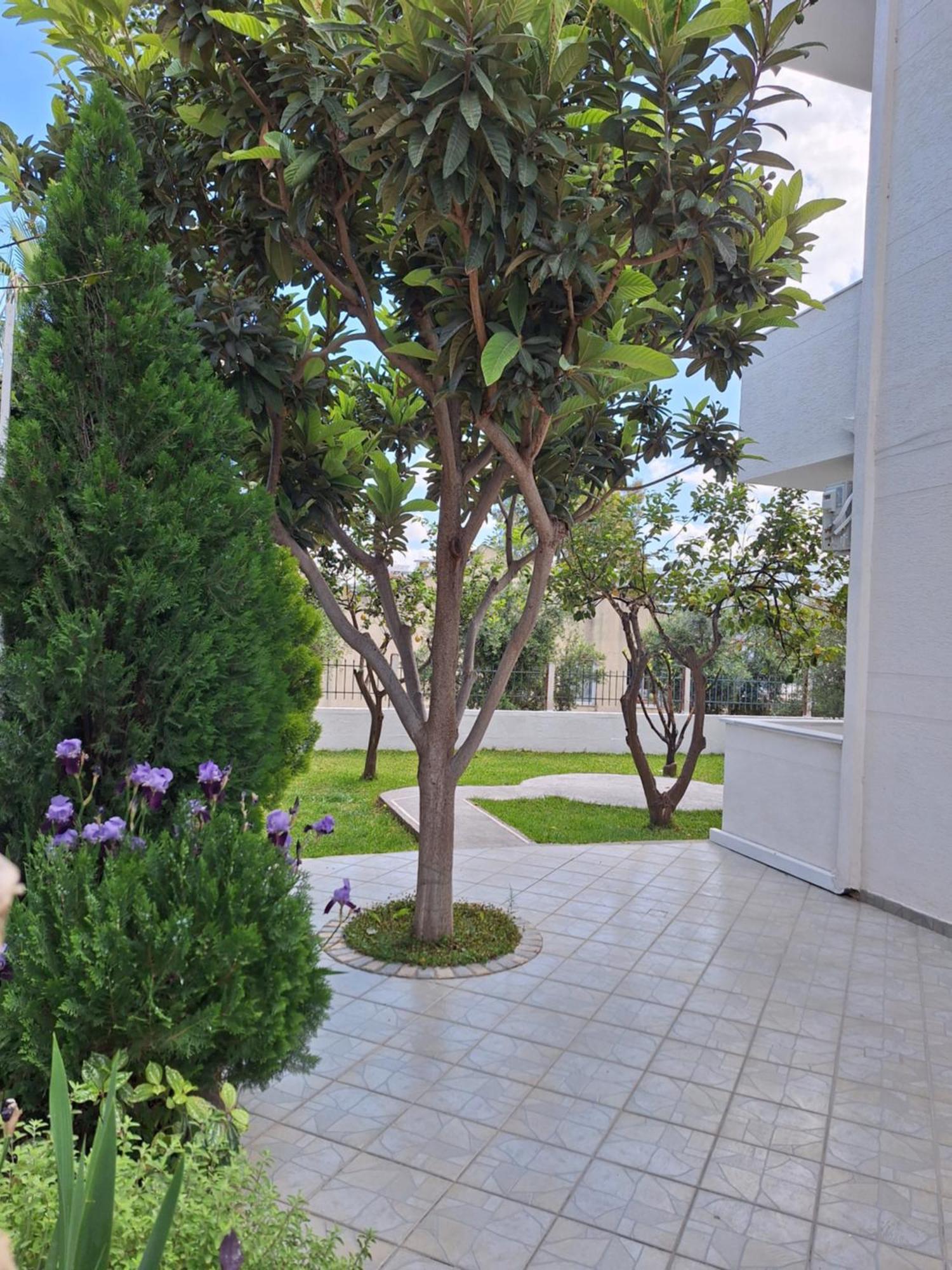 Vila Anxhelo Ksamil Luaran gambar
